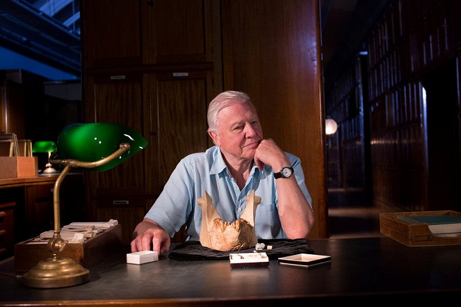 David Attenborough's Natural History Museum Alive - Photos