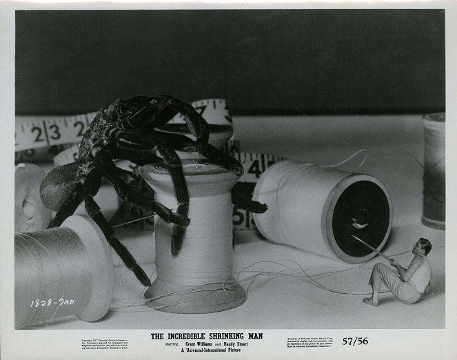 The Incredible Shrinking Man - Lobby Cards - Grant Williams