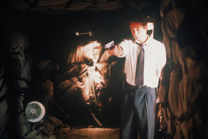 The X-Files - Unruhe - Van film - David Duchovny