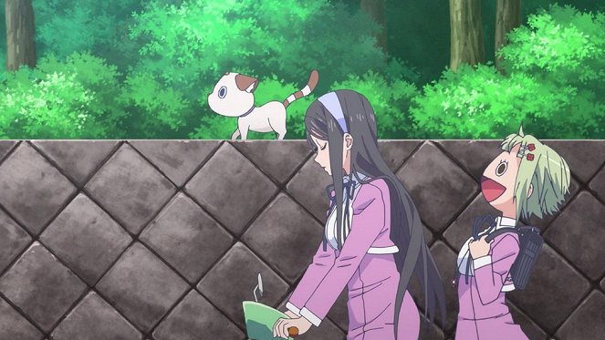 Amanchu! - The Story of the Secret to Excitement and Happiness - Photos