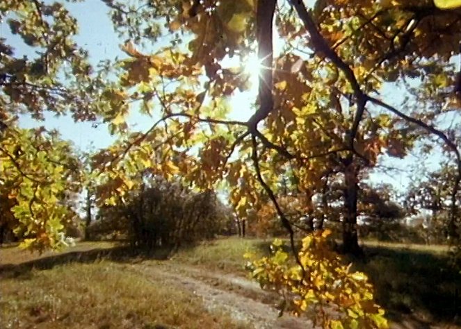 Bílé Karpaty - De la película