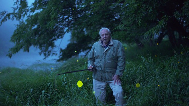 Leuchtfeuer des Lebens - De filmes - David Attenborough