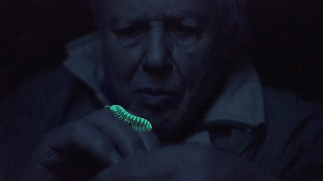Attenborough és a természet fényei - Filmfotók