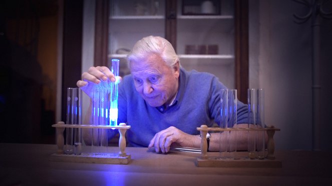 David Attenborough a živé světlo - Z filmu - David Attenborough