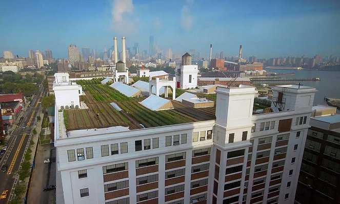 Sur les toits des villes - New York - Van film
