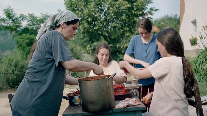 Colmeia - Do filme - Yllka Gashi