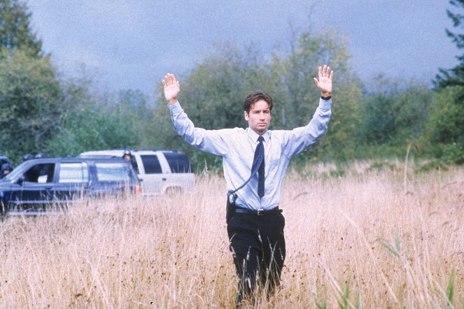 The X-Files - The Field Where I Died - Van film - David Duchovny