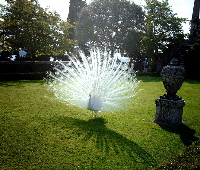 Gärten am Lago Maggiore - Filmfotók