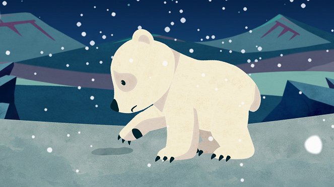 Polární medvídek Ursa - Z filmu