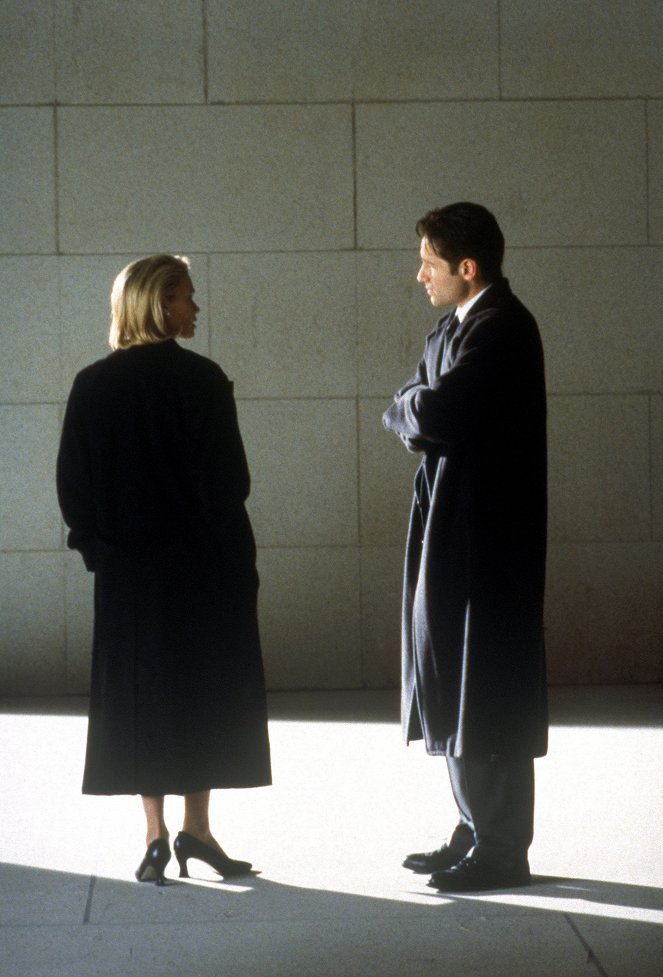 The X-Files - L'Homme invisible - Film - David Duchovny