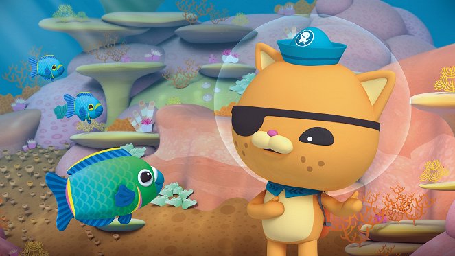 Les Octonauts - The Pirate Parrotfish - Film