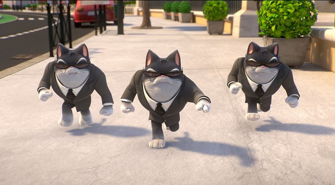 44 koty - Koty w czerni - Z filmu