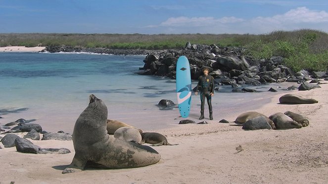 Andy's Aquatic Adventures - Film