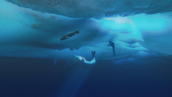 Andy's Aquatic Adventures - Van film