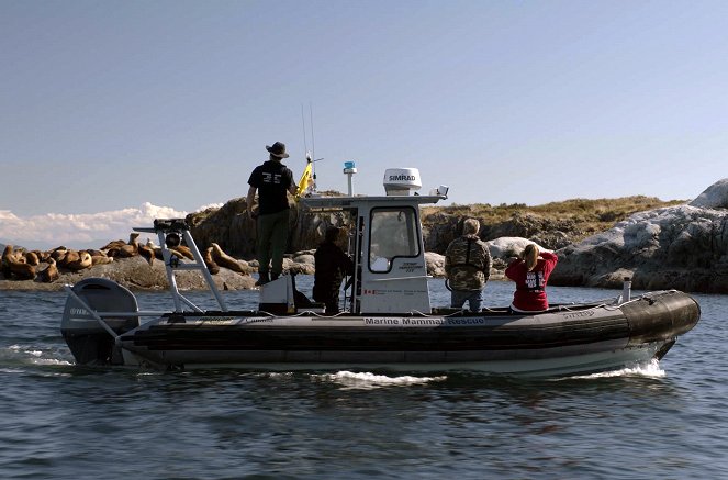 Wild Pacific Rescue - Battle to Save a Sea Lion - Z filmu