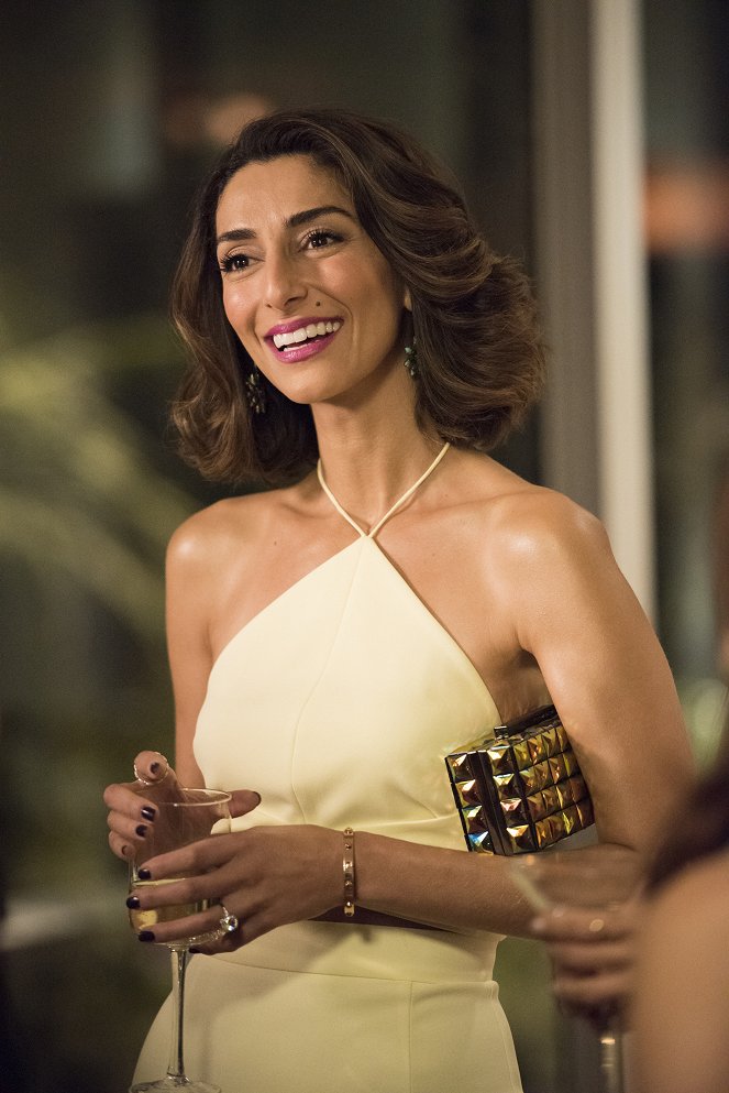 Girlfriend's Guide to Divorce - Rule #36: If You Can't Stand the Heat, You're Cooked - Van film - Necar Zadegan