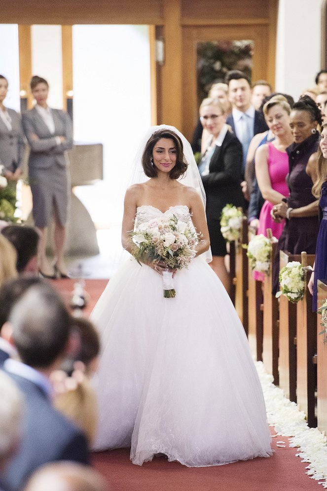 Girlfriend's Guide to Divorce - Rule #876: Everything Does Not Happen for a Reason - Van film - Necar Zadegan