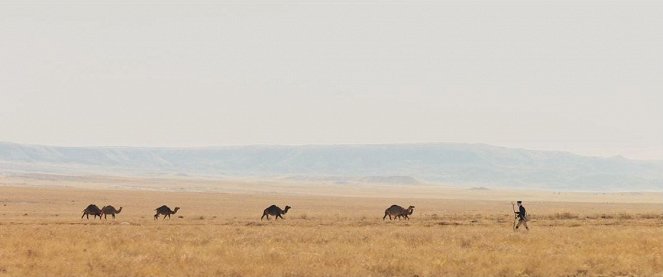 Taras. Povernennya - Kuvat elokuvasta