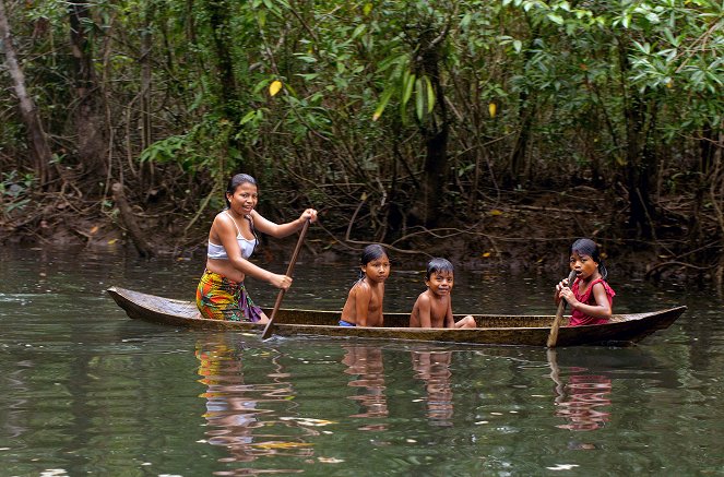 À la rencontre des peuples des mers - Season 2 - Colombie, les Emberá - De la forêt à la mer - Do filme