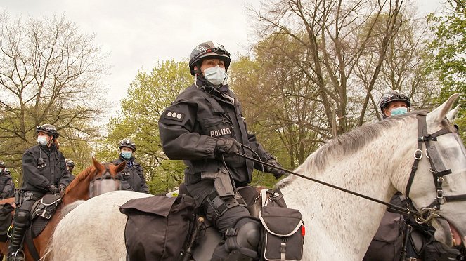 Polizeipferde im Einsatz - Filmfotos