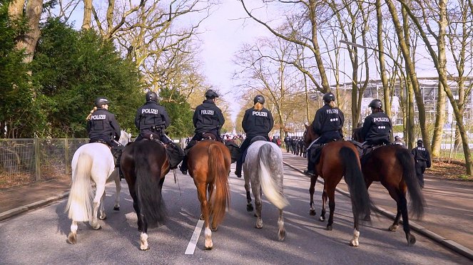 Polizeipferde im Einsatz - Photos