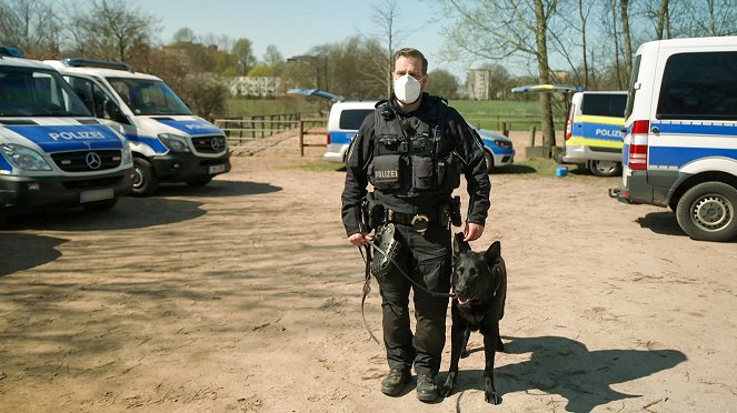 Polizeipferde im Einsatz - Photos