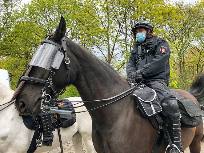 Polizeipferde im Einsatz - Photos