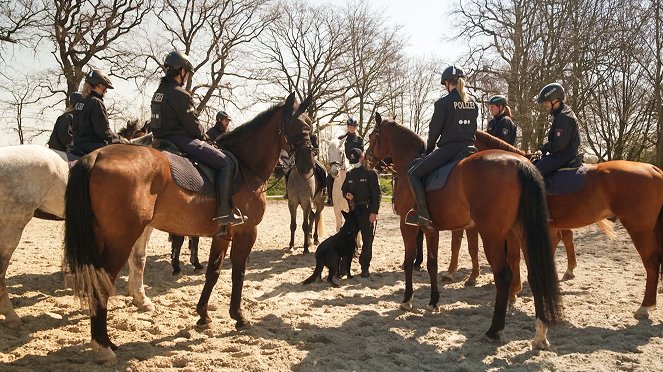 Polizeipferde im Einsatz - Filmfotos