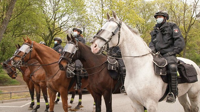 Polizeipferde im Einsatz - Filmfotos