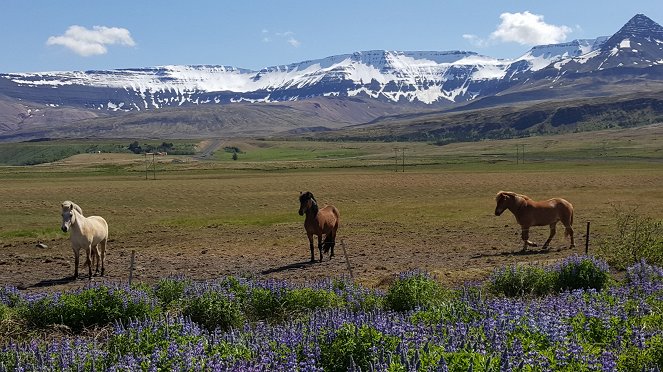 Na cestě - Na cestě po západním Islandu - Filmfotos