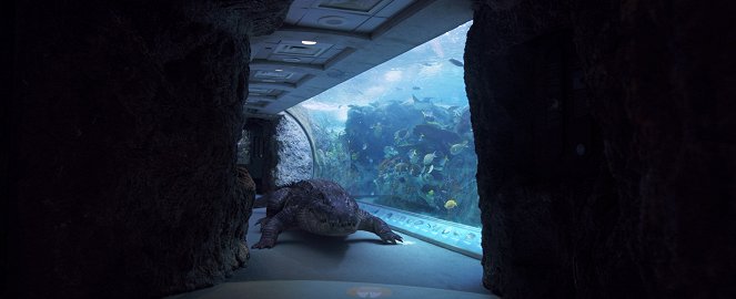 Aquarium of the Dead - Van film