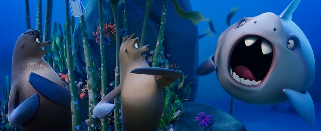 Foki kontra rekiny - Z filmu