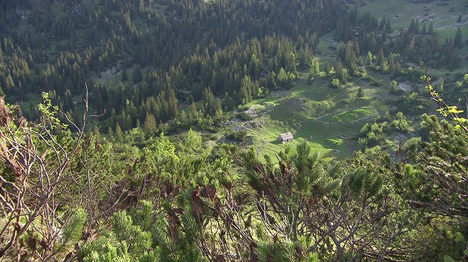 Urwald der Alpen - Wildnisgebiet Dürrenstein - Filmfotos