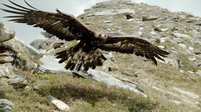 Austria's Wild Heritage - One Country Six National Parks - Photos