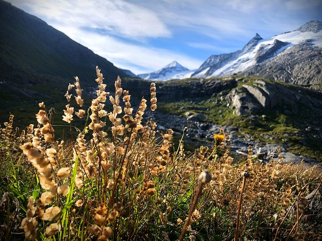 Austria's Wild Heritage - One Country Six National Parks - Photos