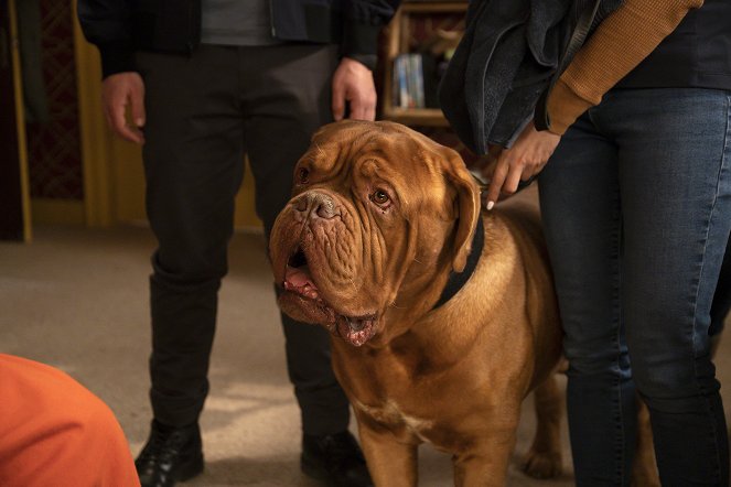 Turner & Hooch - Lost and Hound - Photos