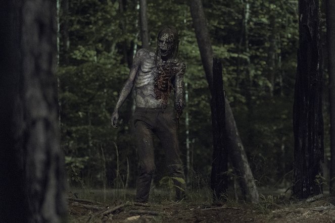 The Walking Dead - Das cinzas - Do filme