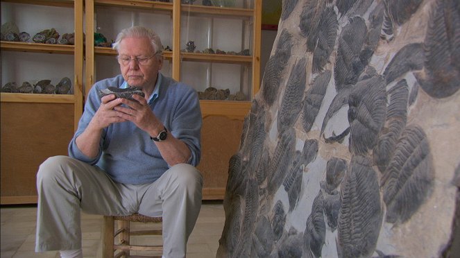 David Attenborough's First Life - Filmfotos