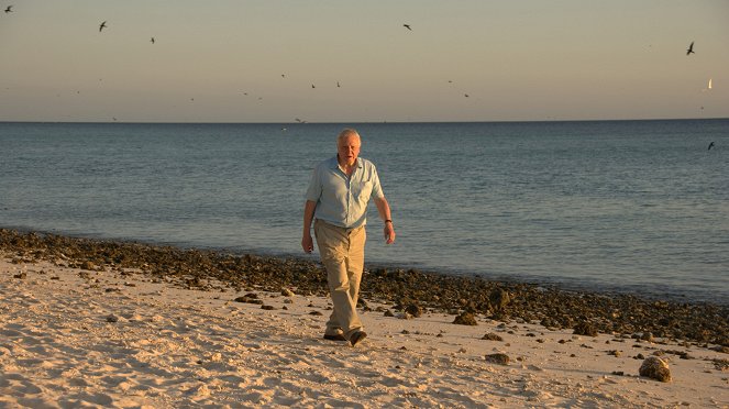 David Attenborough's First Life - Filmfotók
