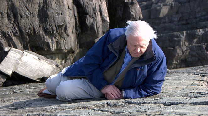 David Attenborough's First Life - Van film