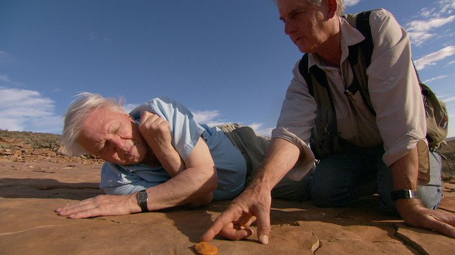 David Attenborough's First Life - Filmfotók