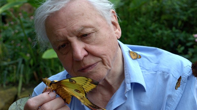 David Attenborough's First Life - Z filmu