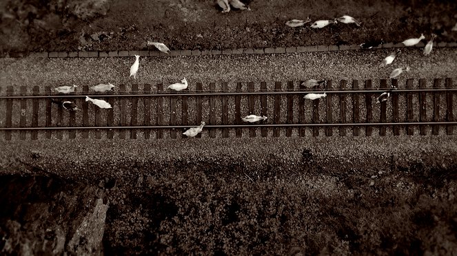 Railway Murders - Van film