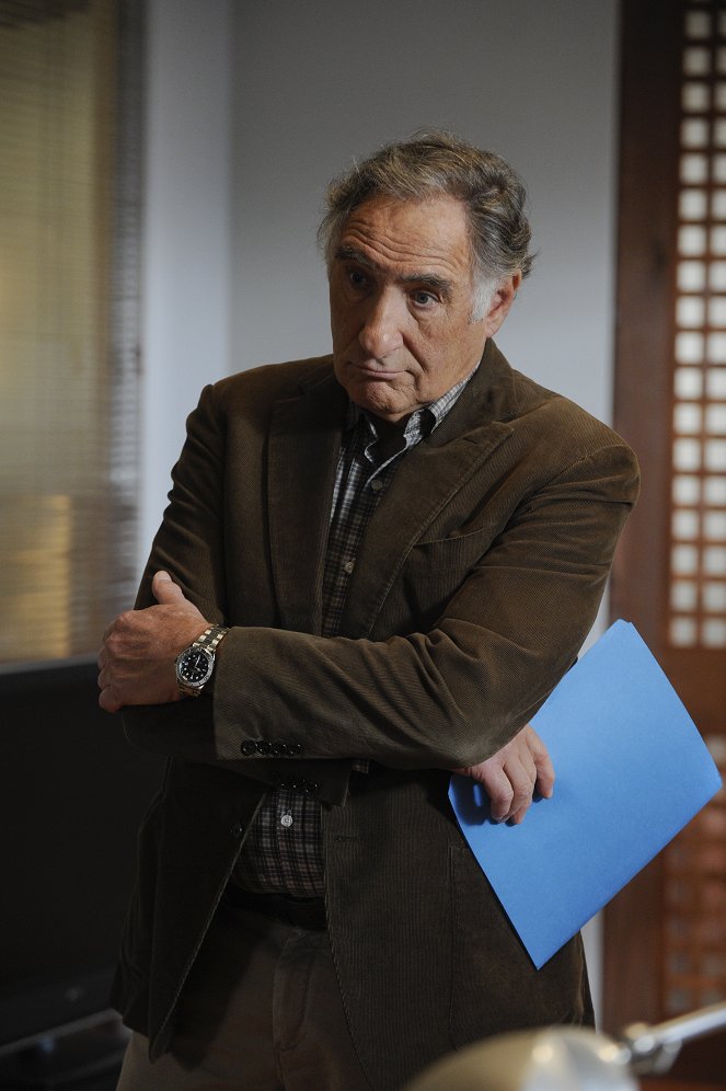 Damages - I Like Your Chair - Van film - Judd Hirsch
