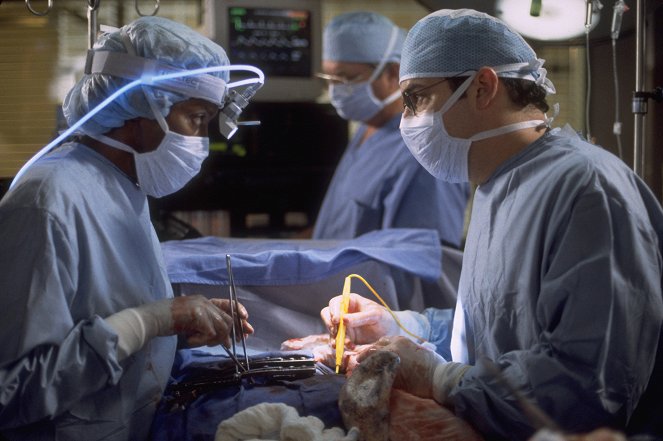 Nemocnica Chicago Hope - Season 6 - Letting Go - Z filmu - Fran Bennett, Mandy Patinkin