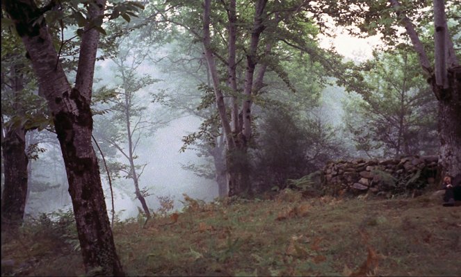 El bosque del lobo - Kuvat elokuvasta