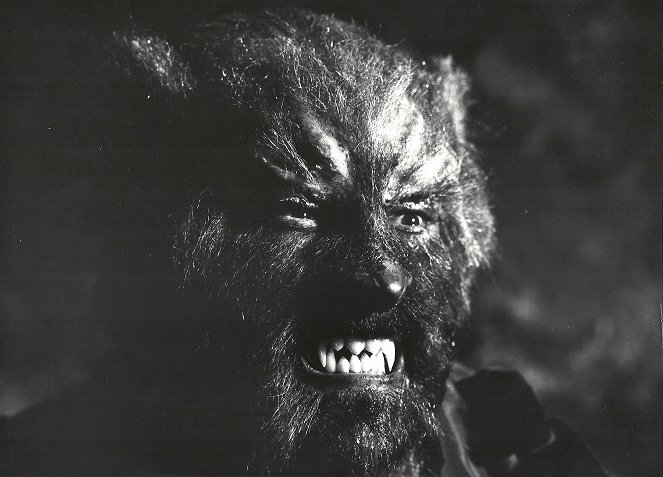 El retorno del Hombre Lobo - Van film