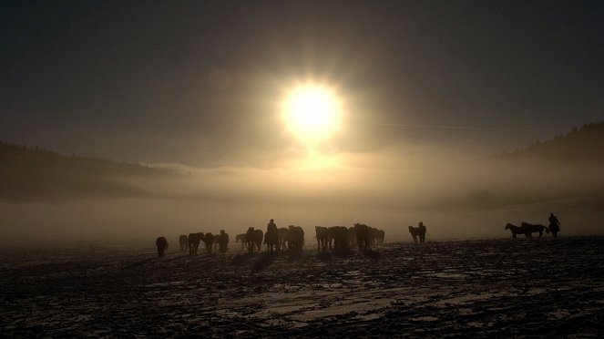 Hooves in the Wind - Photos