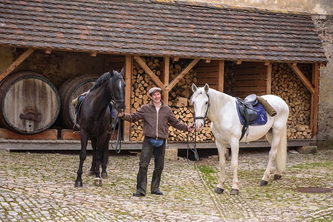 Českem na koňském hřbetu - Kůň pro prezidenta - Filmfotos