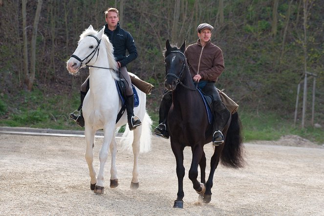 Českem na koňském hřbetu - Kůň pro prezidenta - Photos